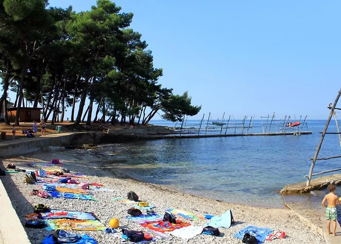 With A Parking Space Basanija, Umag - 7334 Apartman Bašanija